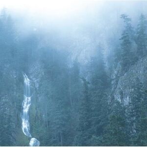 Wolves in the Throne Room - Diadem Of 12 Stars  LP LP